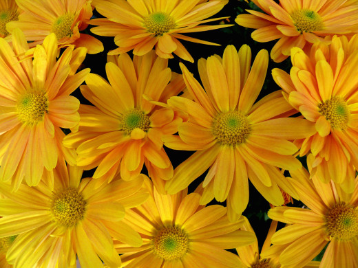 659813 (a): :1600x1200